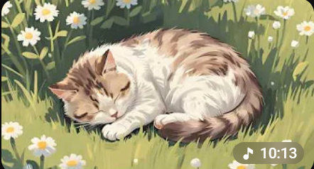 Sleepy Baby Animals — Relaxing Animation for Naptime
